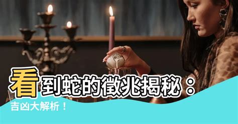 看到死蛇代表什麼